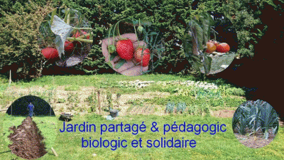 Jardin partagé de la Filée