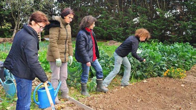 Photo atelier jardinage biologique Les Potagers Essaimés octobre 2015 