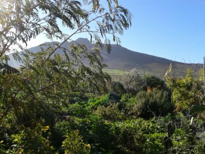 Bénévolat jardinage Maroc