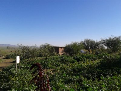 Jardinage bénévole Maroc