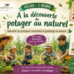 Atelier : A la découverte du potager au naturel