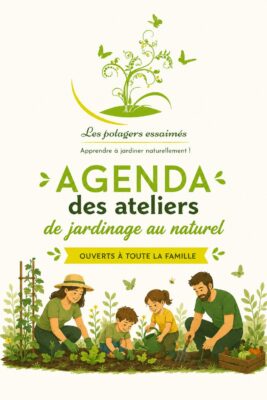 Agenda des ateliers