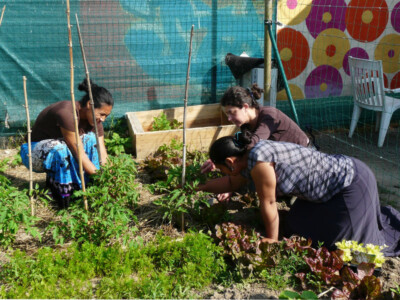 Atelier de jardinage association ROMSI Indre Atelier de jardinage association ROMSI Indre