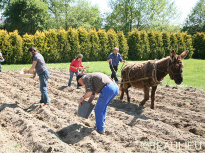 Travail de la terre Travail de la terre