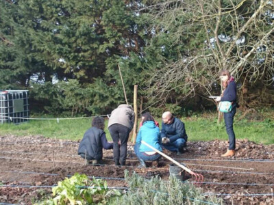 Redémarrage de potager en début d'année Redémarrage de potager en début d'année