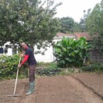 Maurice le Béninois en train de jardiner